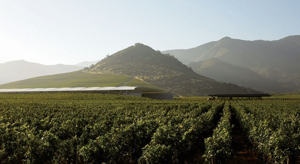 Chilean Winery VIK Is Named the Best Vineyard in the World -00003