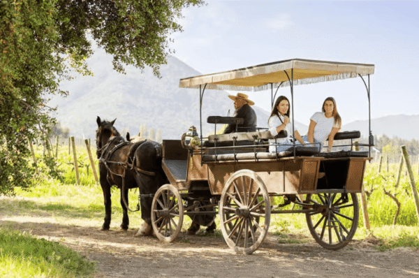 Countryside-Getaway-in-Colchagua