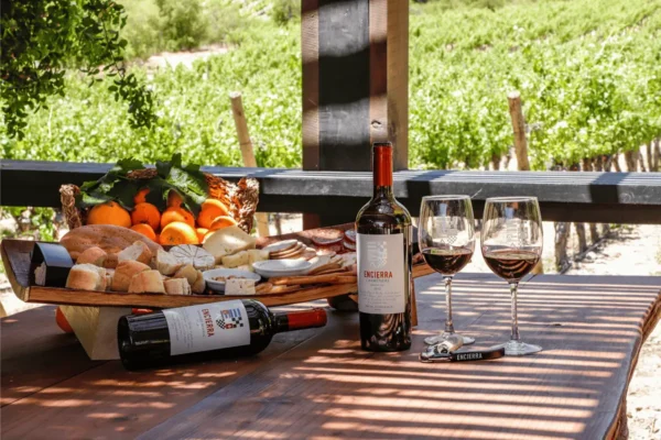 Descubre los vinos premium de Viña Encierra