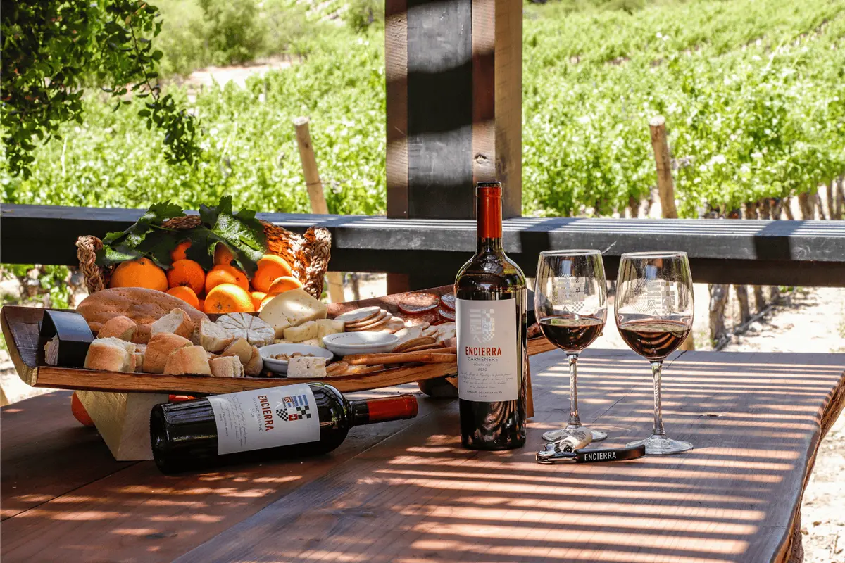 Descubre los vinos premium de Viña Encierra