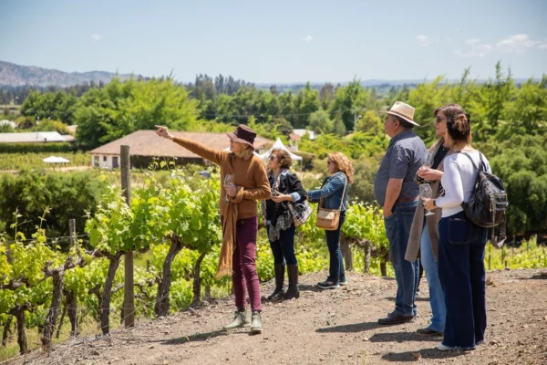 Escapada romántica a Santa Cruz de Colchagua