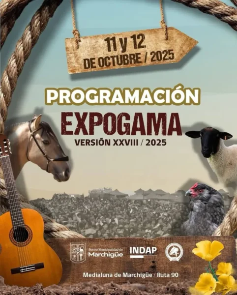 Expogama marchigue