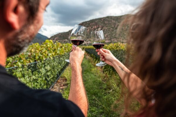 IWC Wine Industry Awards Argentina 2025