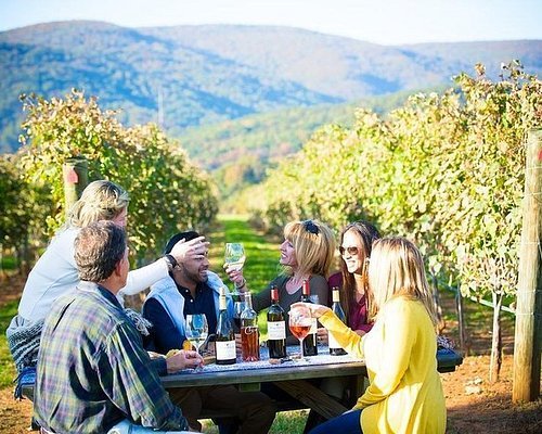 Melhores vinícolas perto de Santiago