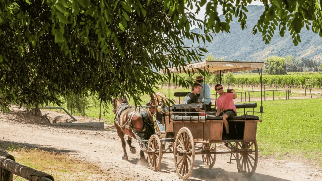 O que fazer em Colchagua em 2 dias