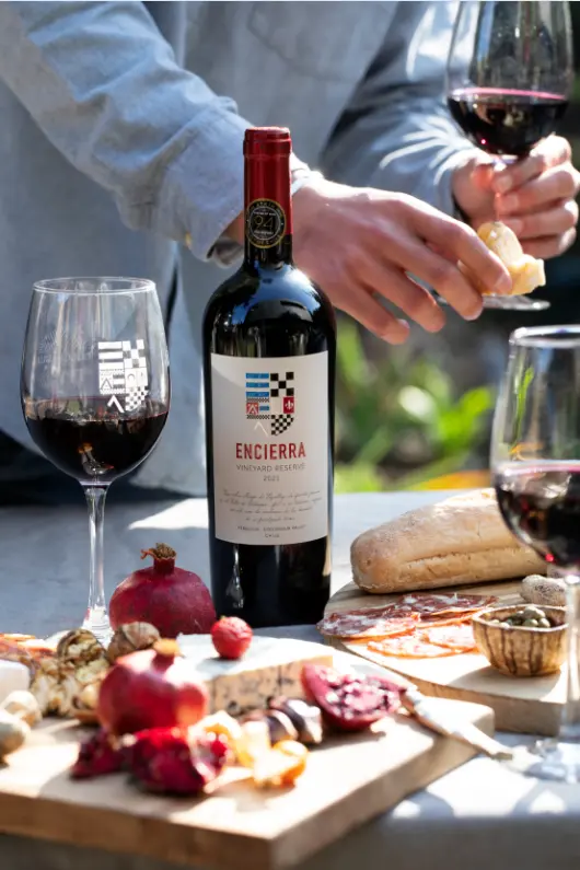Premium Wines from Viña Encierra 3