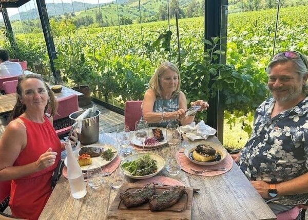 imagen de Tours de viñas en Colchagua