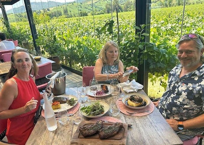 imagen de Tours de viñas en Colchagua
