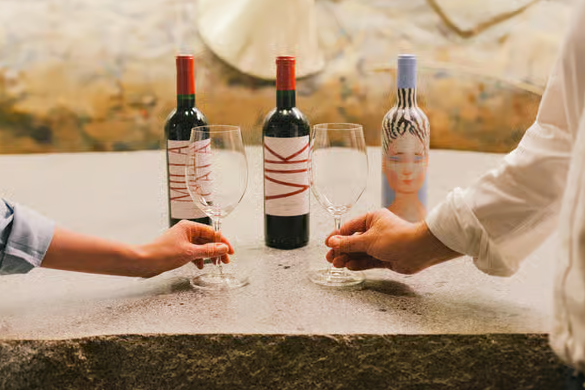 Vik and Montes Luxury in Colchagua