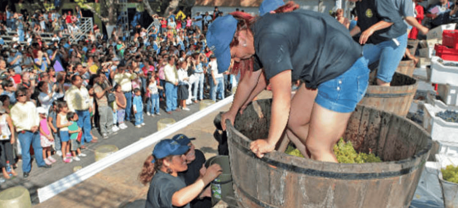 fiesta de la vendimia marchigüe